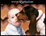 ***enfin un blog inteligent***